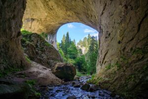 "Wonderful Bridges"