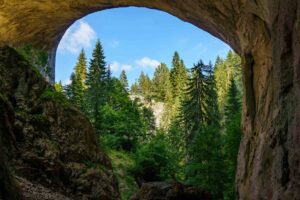 "Wonderful Bridges"