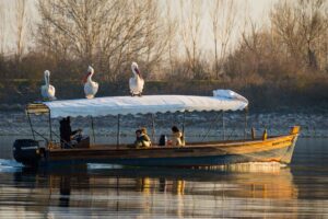 Boat trip Kerkini