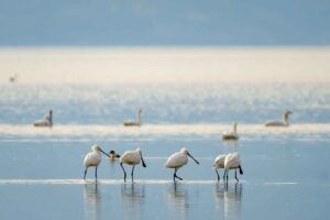 Kerkini Greece