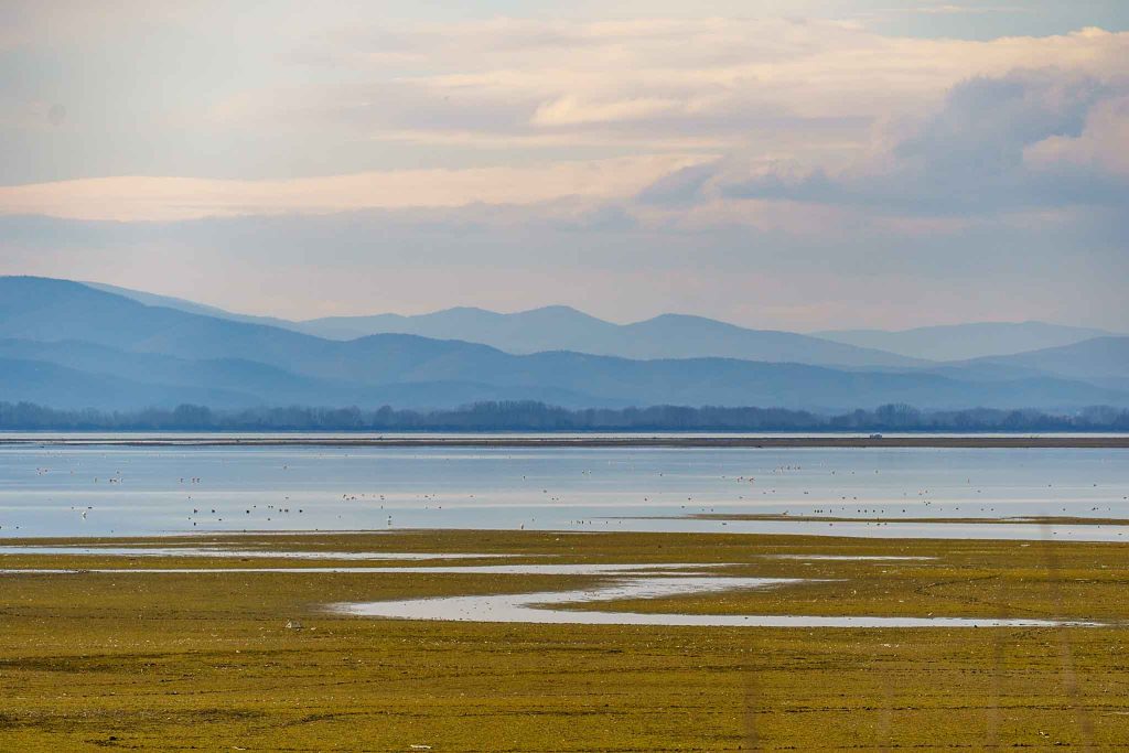 A peaceful view across Lake Kerkini, near the Bulgaria–Greece border, with soft light and reflections.