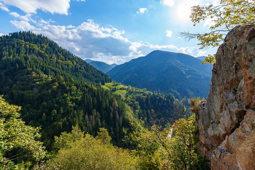 Lush green forests and rolling hills under a blue sky in the Rhodope Mountains, southern Bulgaria.