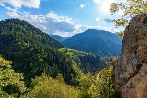 Lush green forests and rolling hills under a blue sky in the Rhodope Mountains, southern Bulgaria.