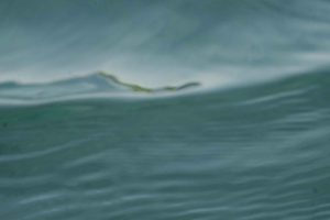 A gently rounded wave form photographed at water level, its soft blurred crest rising against a pale grey-green sky, the body of water below deep and calm.