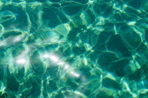 Multiple white starbursts of refracted sunlight scattered across a turquoise and green seabed seen through shallow moving water, the light patterns shifting and overlapping.