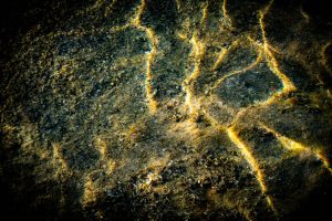 A web of golden refracted light laid over a circular mossy rock submerged in shallow water, with deep shadow at the edges.
